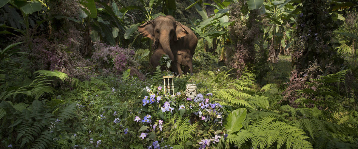 Anne de Carbuccia GARDENERS OF EDEN 1 CHANG RAI, THAILAND, FEBRUARY 2015 timeshrine