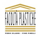 Piero Gilardi e Pino Pinelli. Facoltà Plastiche