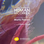 Marta Perroni - Human Micorriza