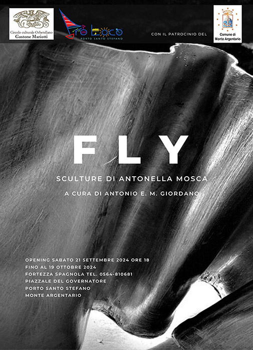 FLY - Sculture di Antonella Mosca