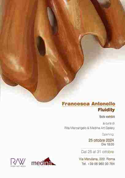 Francesca Antonello. Fluidity