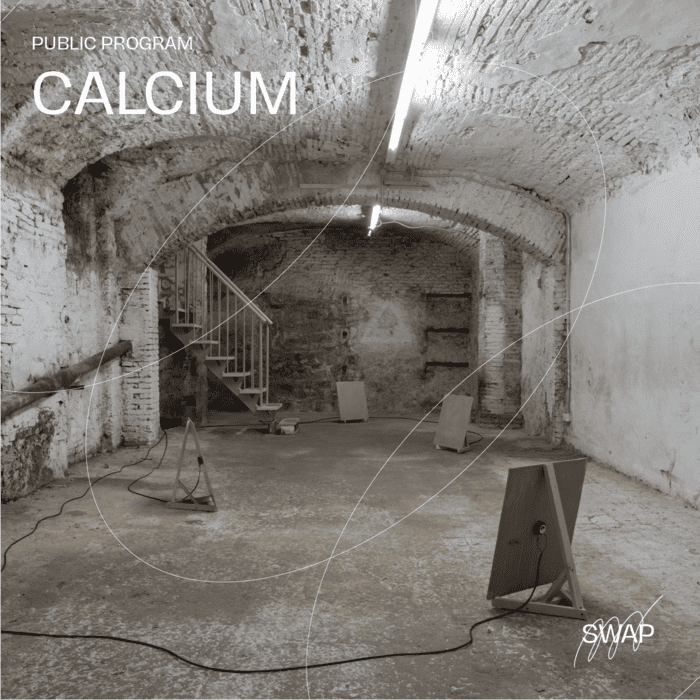 CALCIUM | Public Program | Escursione